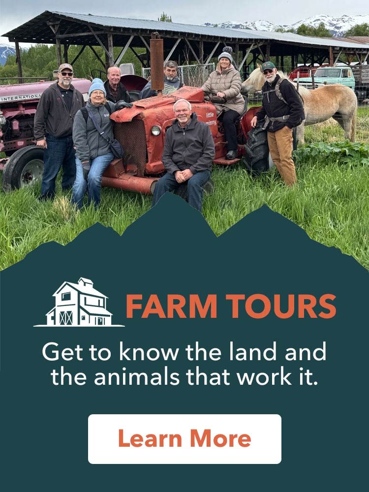 Alaska Zipline, Sunderland Ranch, ziplining, horseback riding, farm tours, gold panning, lodgestay, weddings & events, adventure park