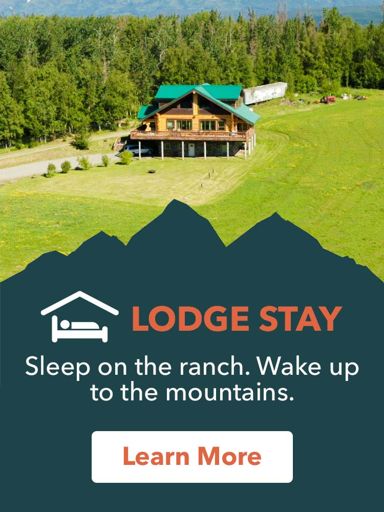 Alaska Zipline, Sunderland Ranch, ziplining, horseback riding, farm tours, gold panning, lodgestay, weddings & events, adventure park