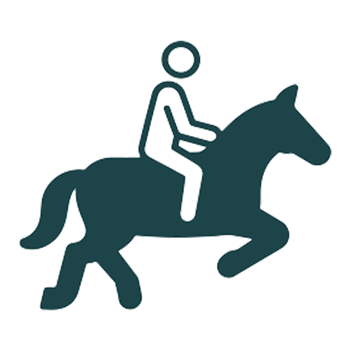 Alaska Zipline, Sunderland Ranch, ziplining, horseback riding, farm tours, gold panning, lodgestay, weddings & events, adventure park