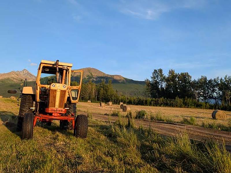 Alaska Zipline, Sunderland Ranch, ziplining, horseback riding, farm tours, gold panning, lodgestay, weddings & events, adventure park
