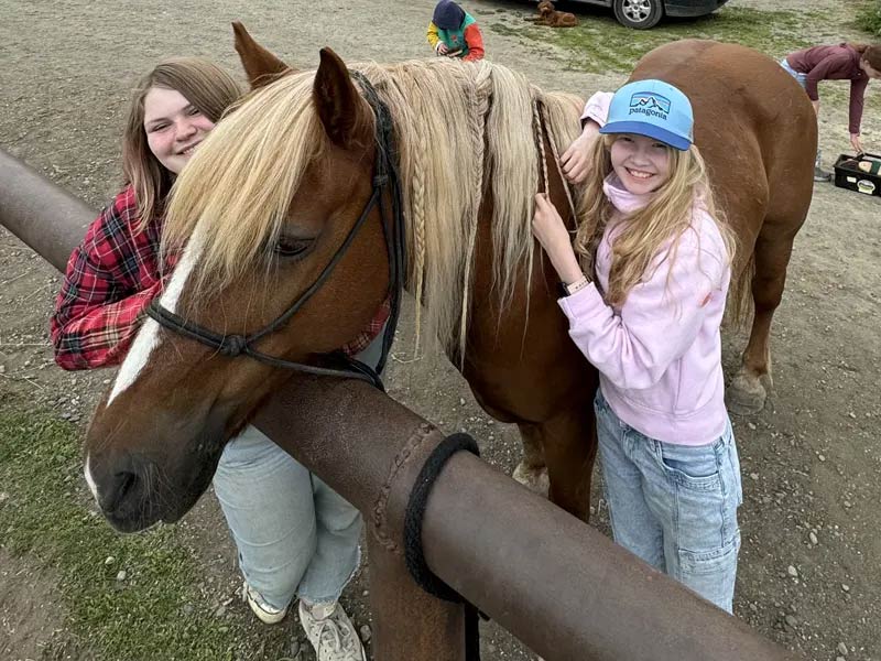 Alaska Zipline, Sunderland Ranch, ziplining, horseback riding, farm tours, gold panning, lodgestay, weddings & events, adventure park