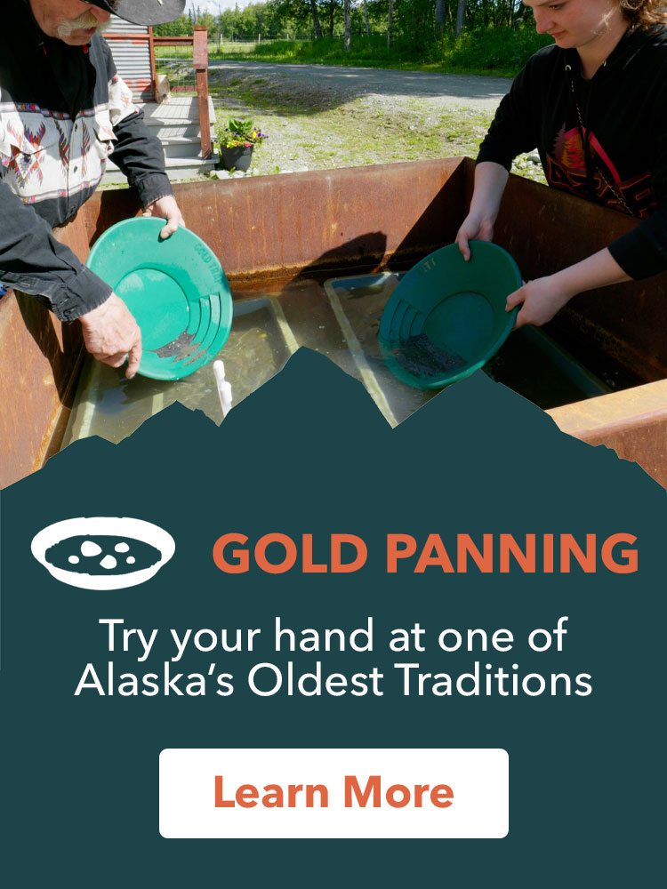 Alaska Zipline, Sunderland Ranch, ziplining, horseback riding, farm tours, gold panning, lodgestay, weddings & events, adventure park