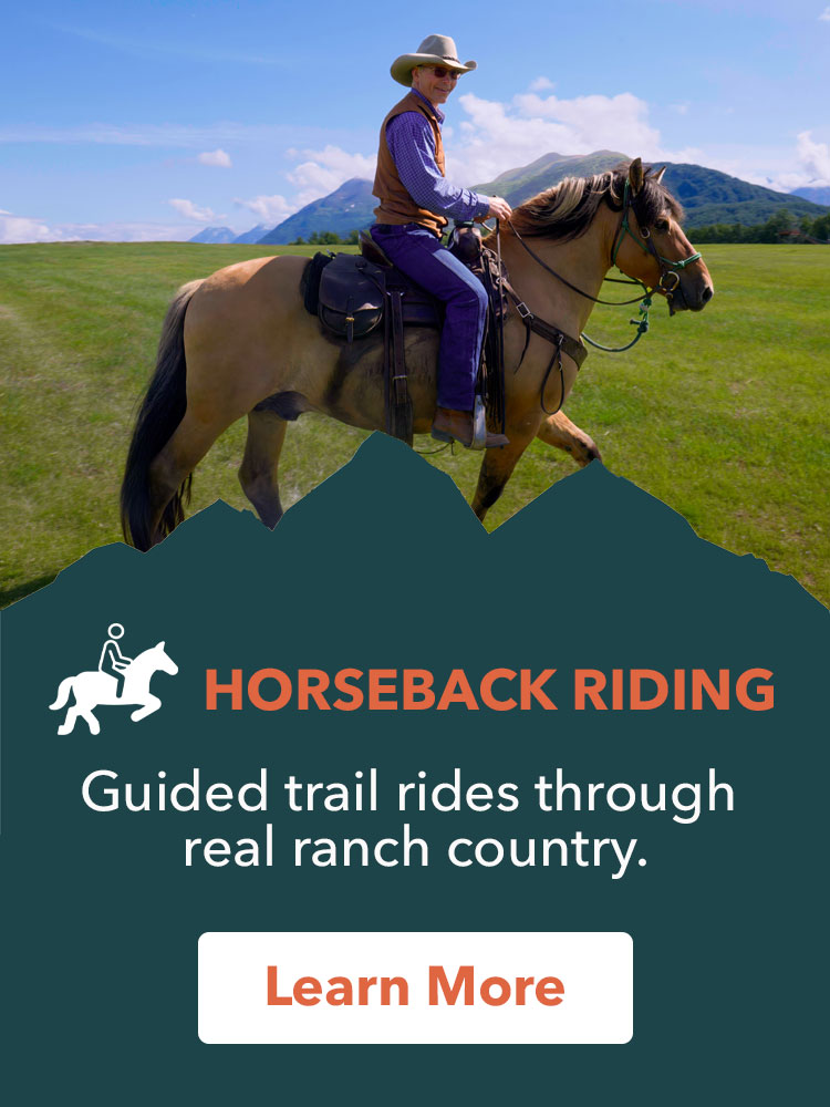 Alaska Zipline, Sunderland Ranch, ziplining, horseback riding, farm tours, gold panning, lodgestay, weddings & events, adventure park