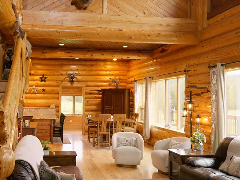 Alaska Zipline, Sunderland Ranch, ziplining, horseback riding, farm tours, gold panning, lodgestay, weddings & events, adventure park
